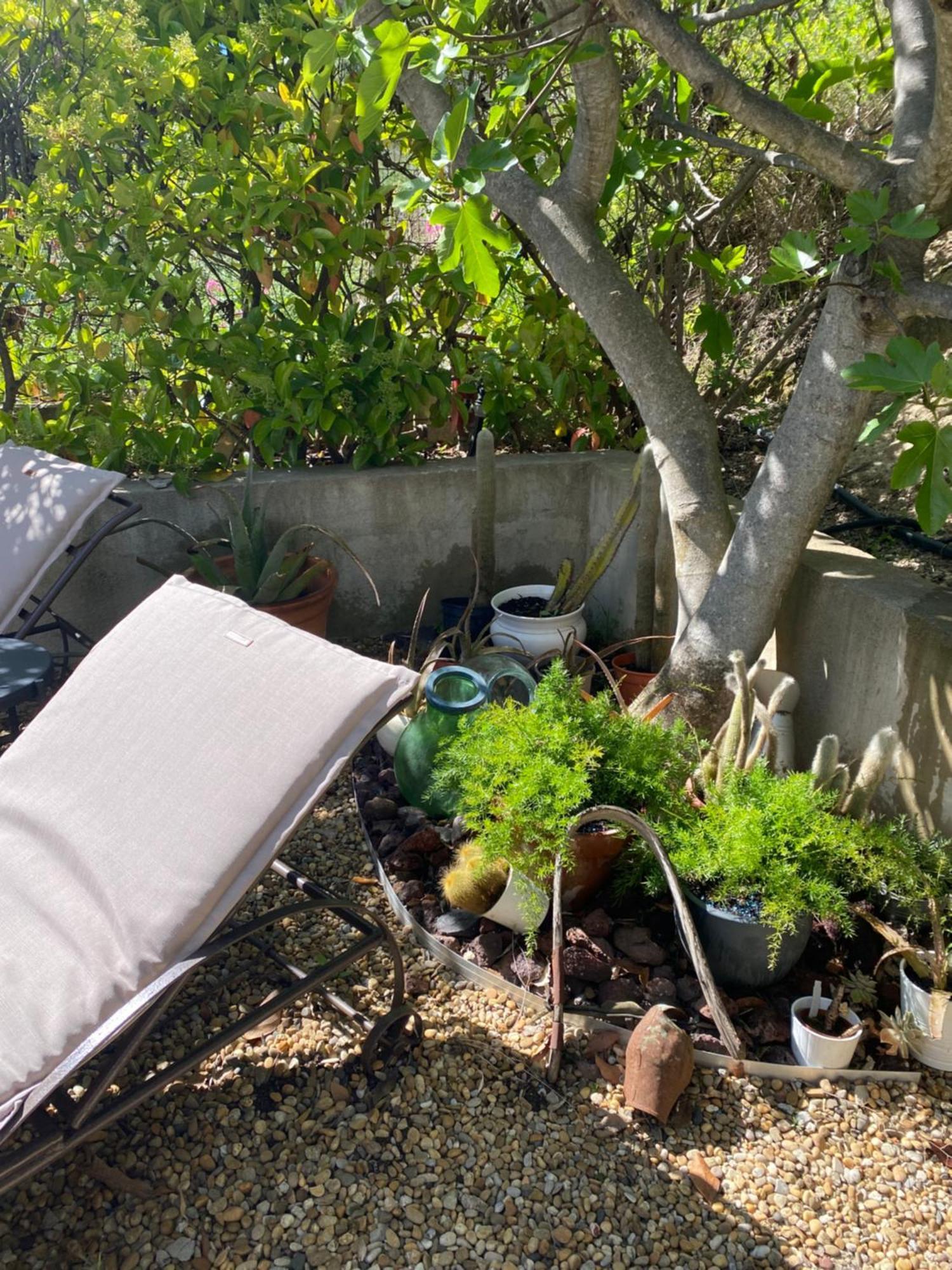 Le Clos De La Chevre Sud La Cadiere-d'Azur Bagian luar foto